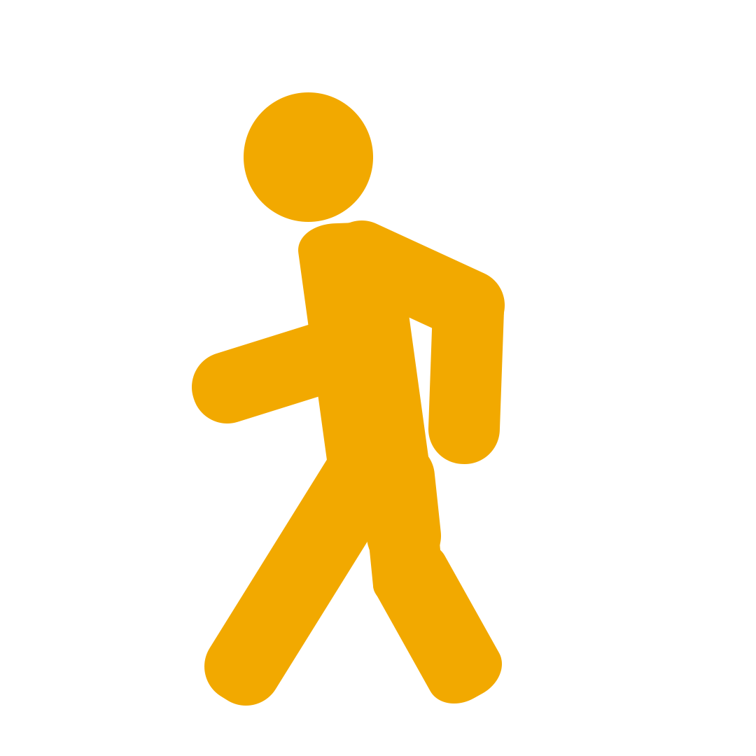 Pedestrian Safety